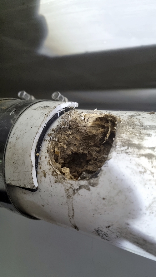 하수구막힘 PC 이미지 3705774