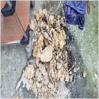 하수구막힘 PC 갤러리 7